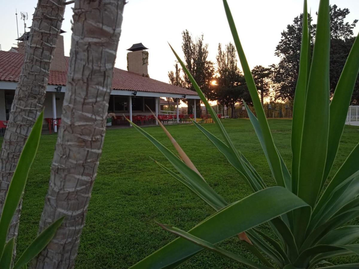 Bungalows Zaragoza Camping Экстерьер фото