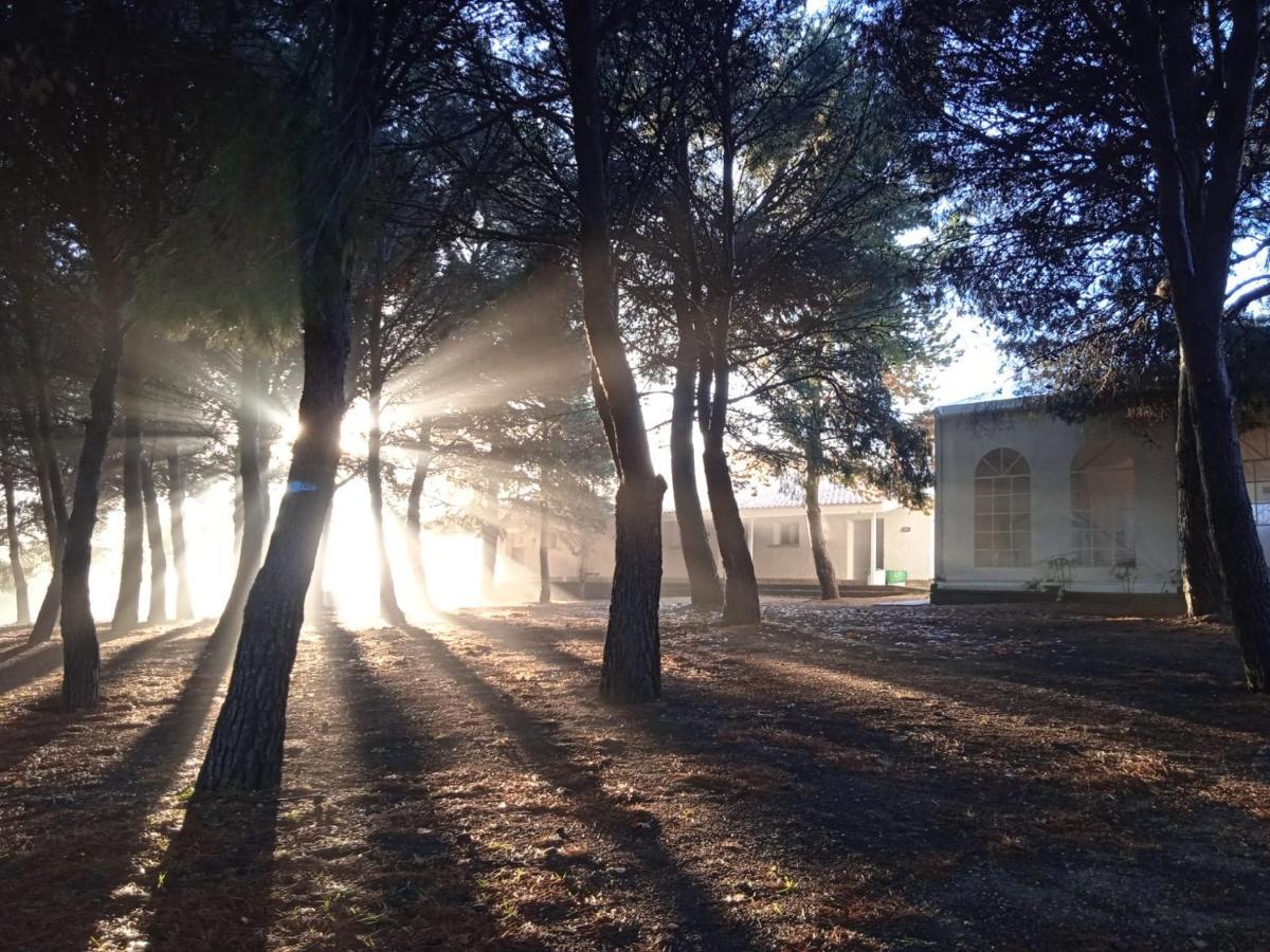Bungalows Zaragoza Camping Экстерьер фото